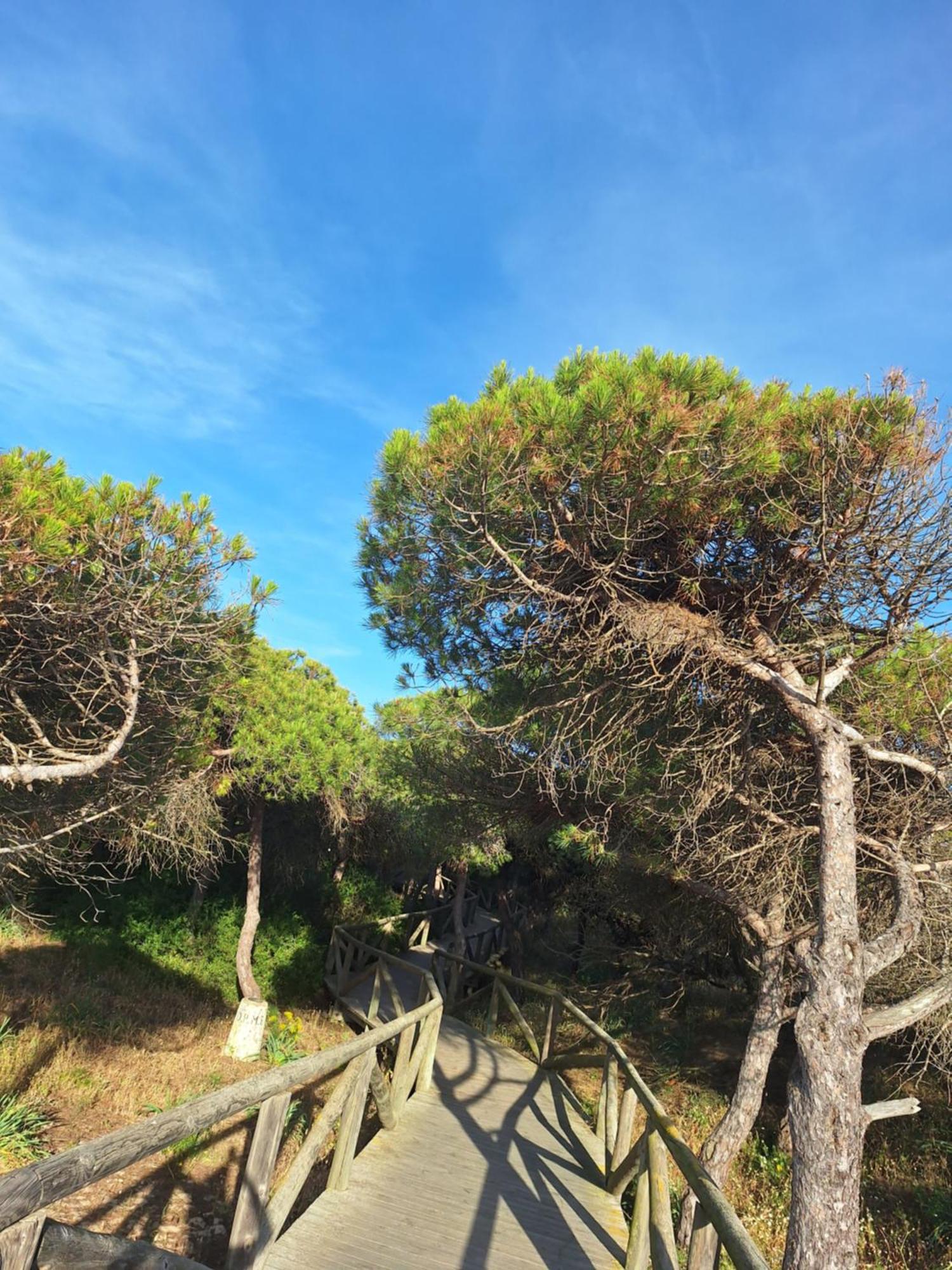 Accommodatie bij particulieren Casa Xeneize Punta Candor Cádiz